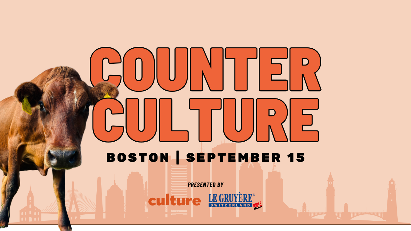 Counter Culture Link in Bio Graphic 1360 x 765 px 1